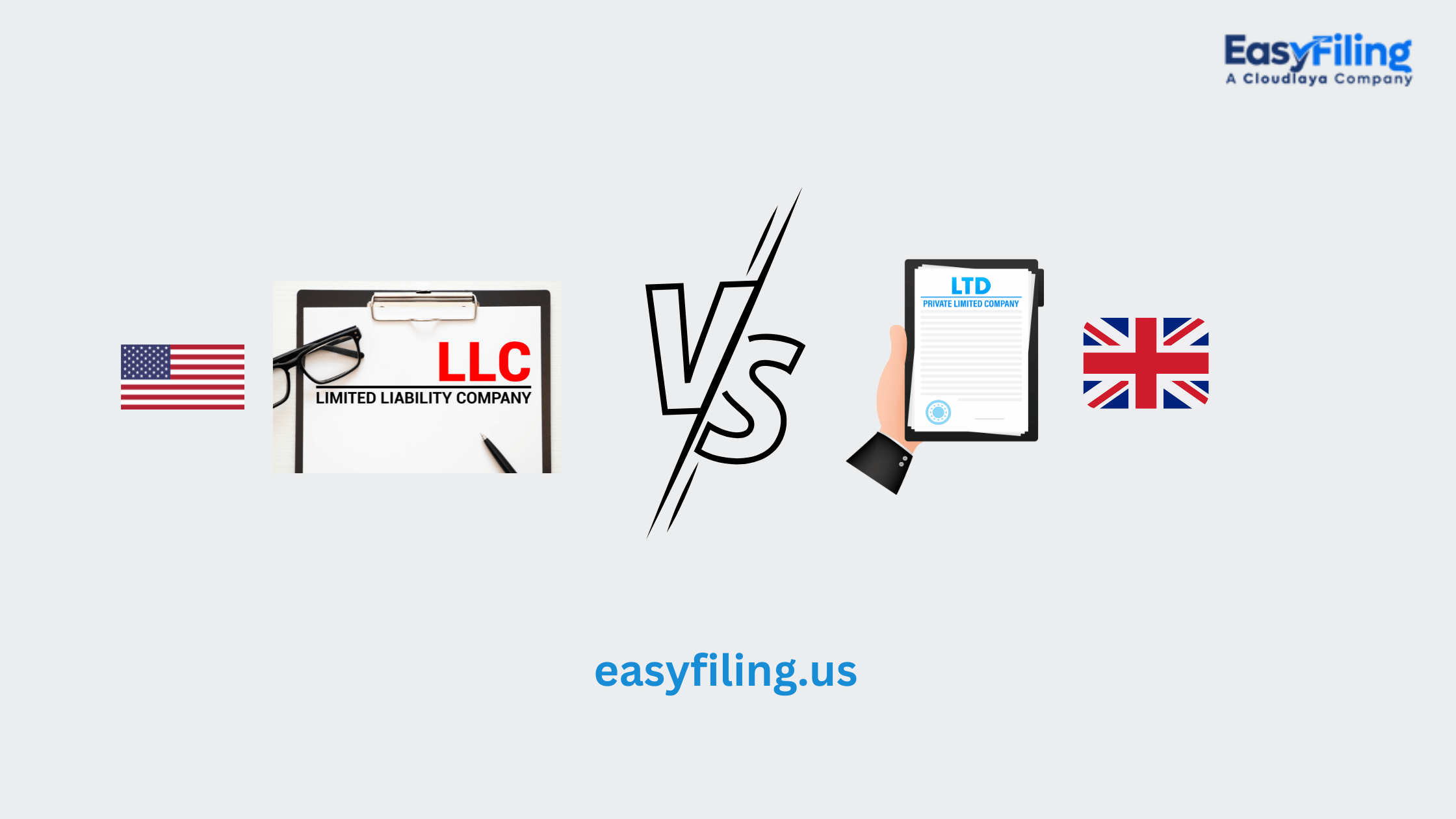 LLC Vs Ltd