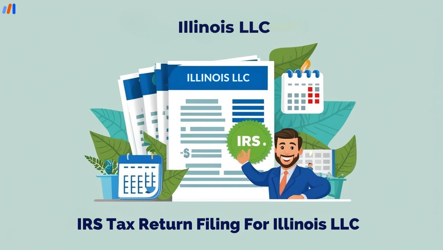 IRS Tax Return Filing For Illinois LLC