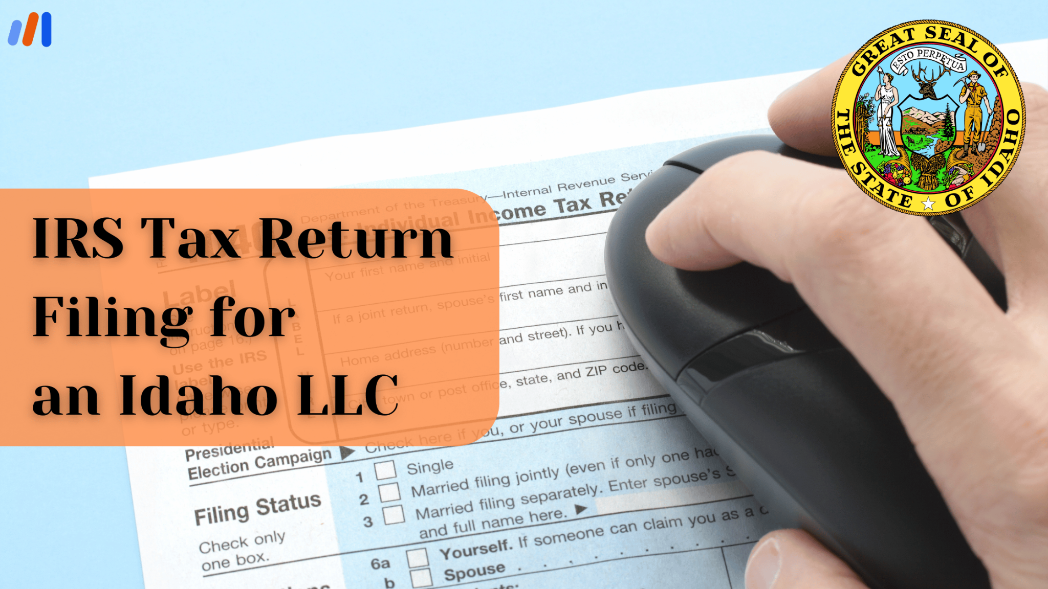 Irs File Return Idaho LLC Tax Return Filing | Expert Guidance