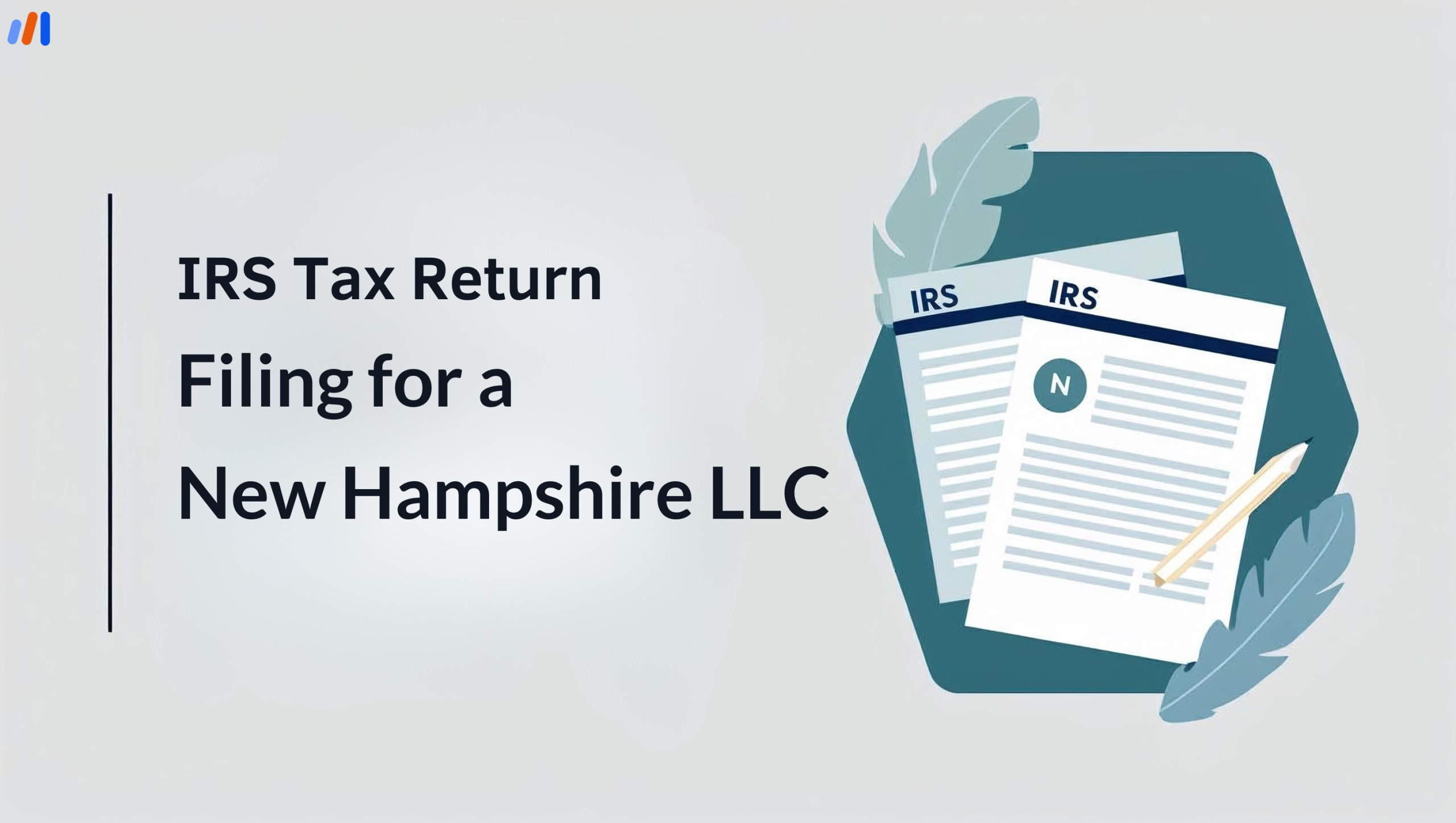 IRS Tax Return Filing for New Hampshire LLC