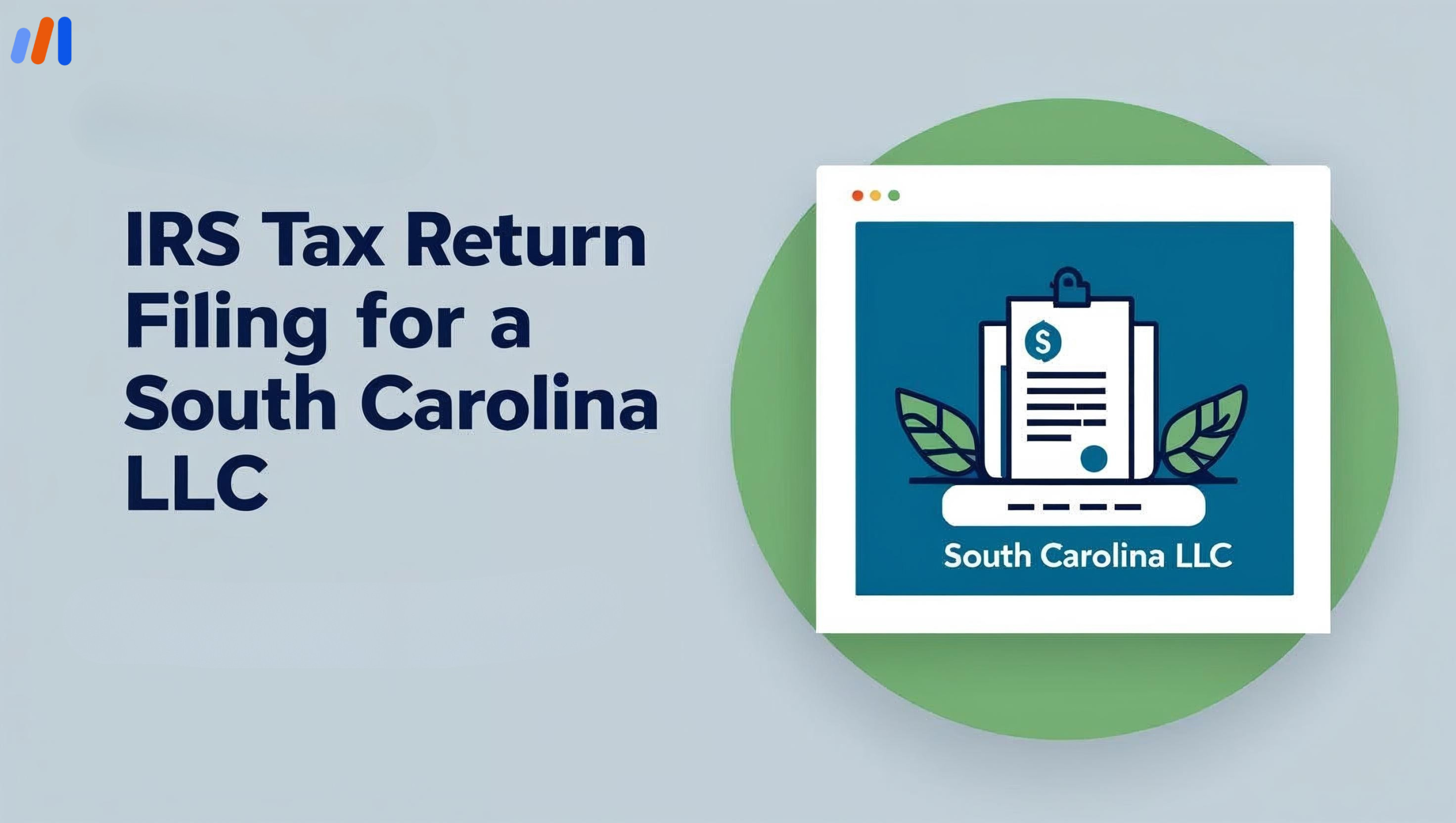 IRS Tax Return Filing for South Carolina LLC