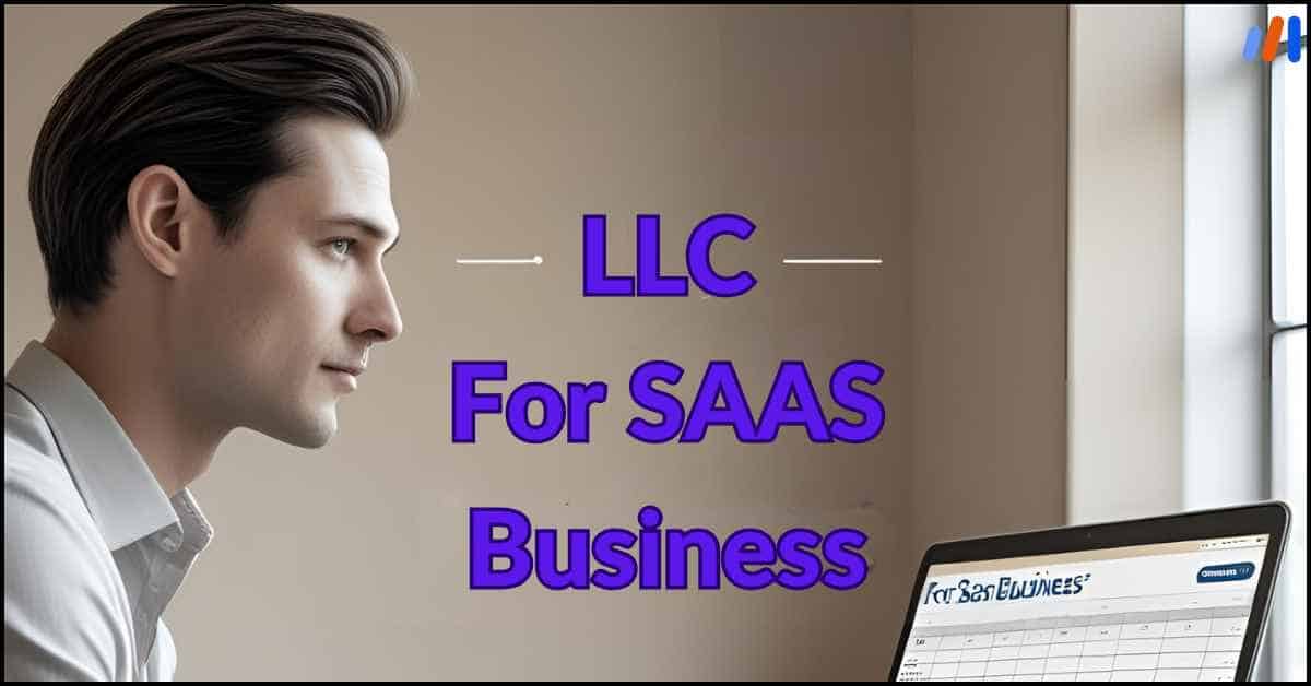 LLC for SaaS Business