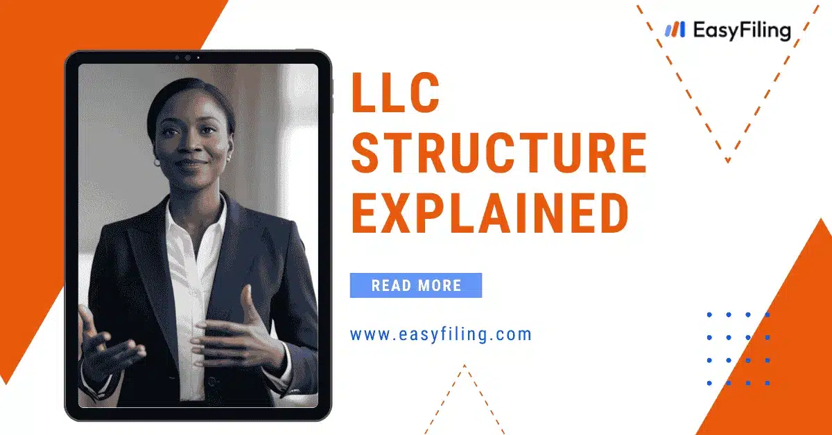 LLC Structure