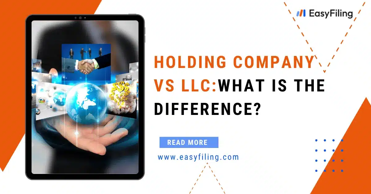 holding company vs llc