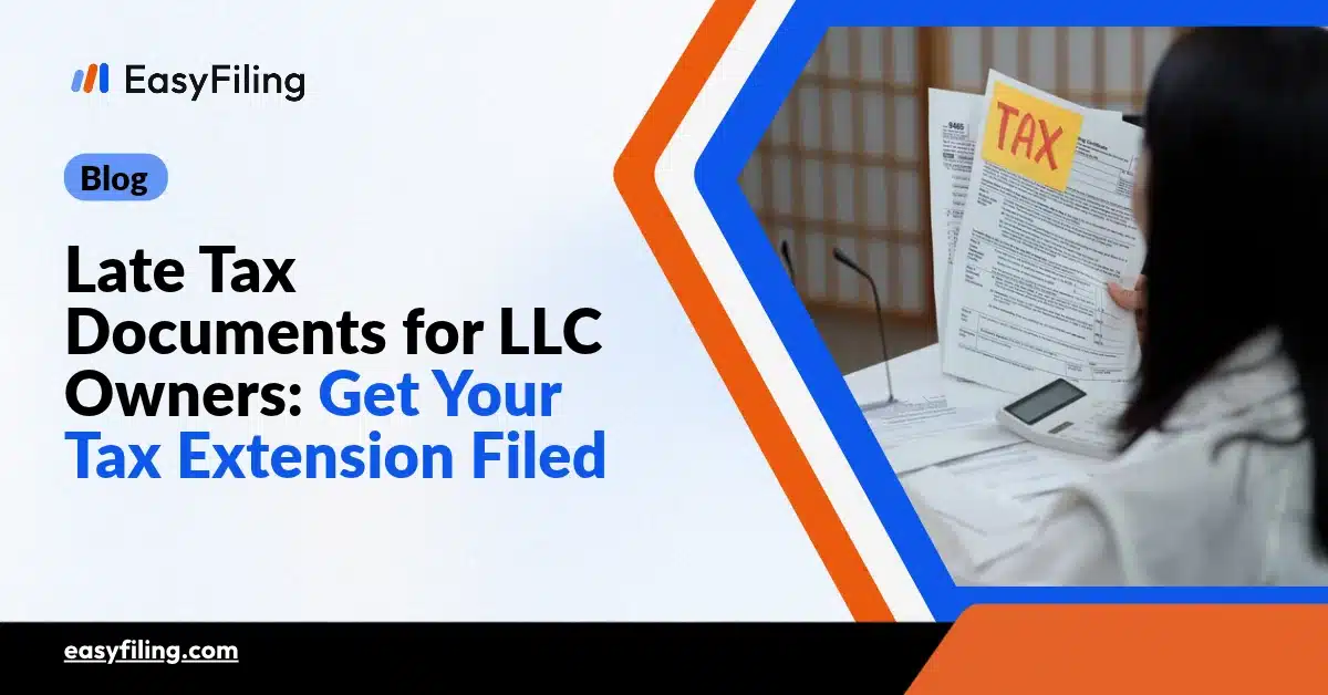 late tax documents for LLC owners