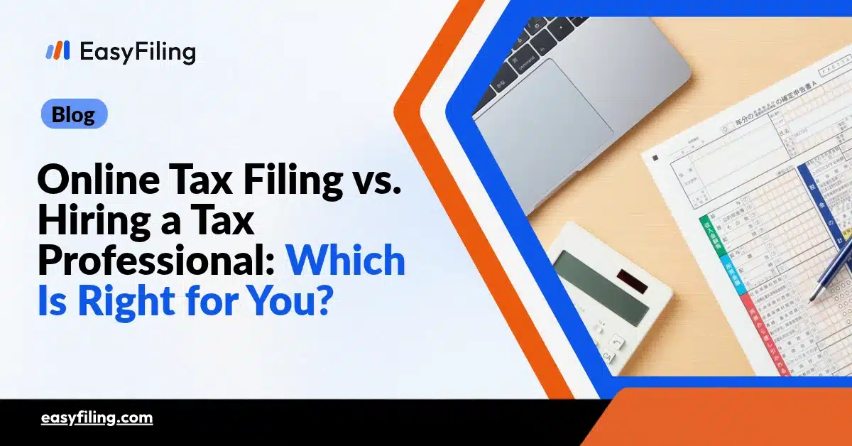 DIY vs tax professional for online filing